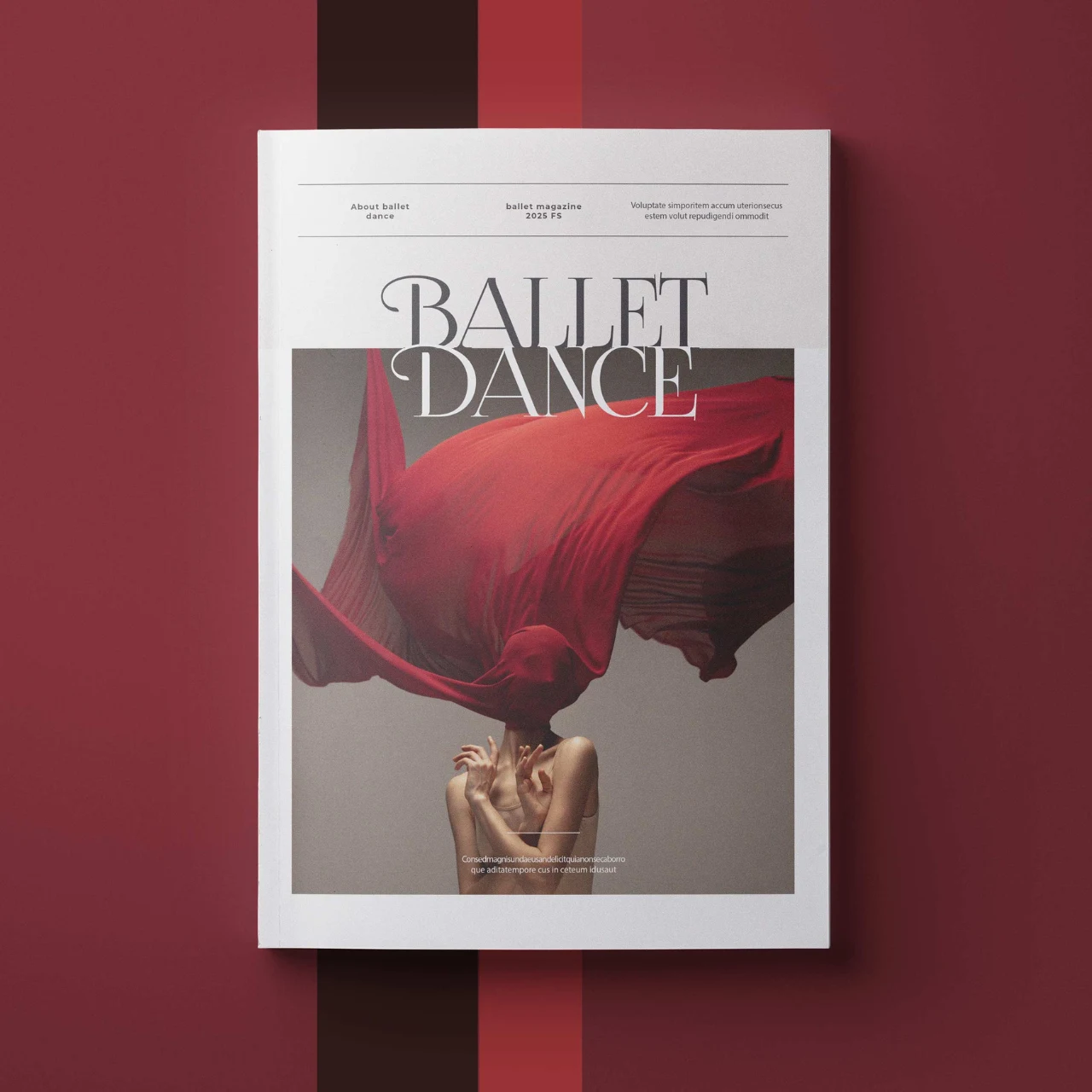Magazine